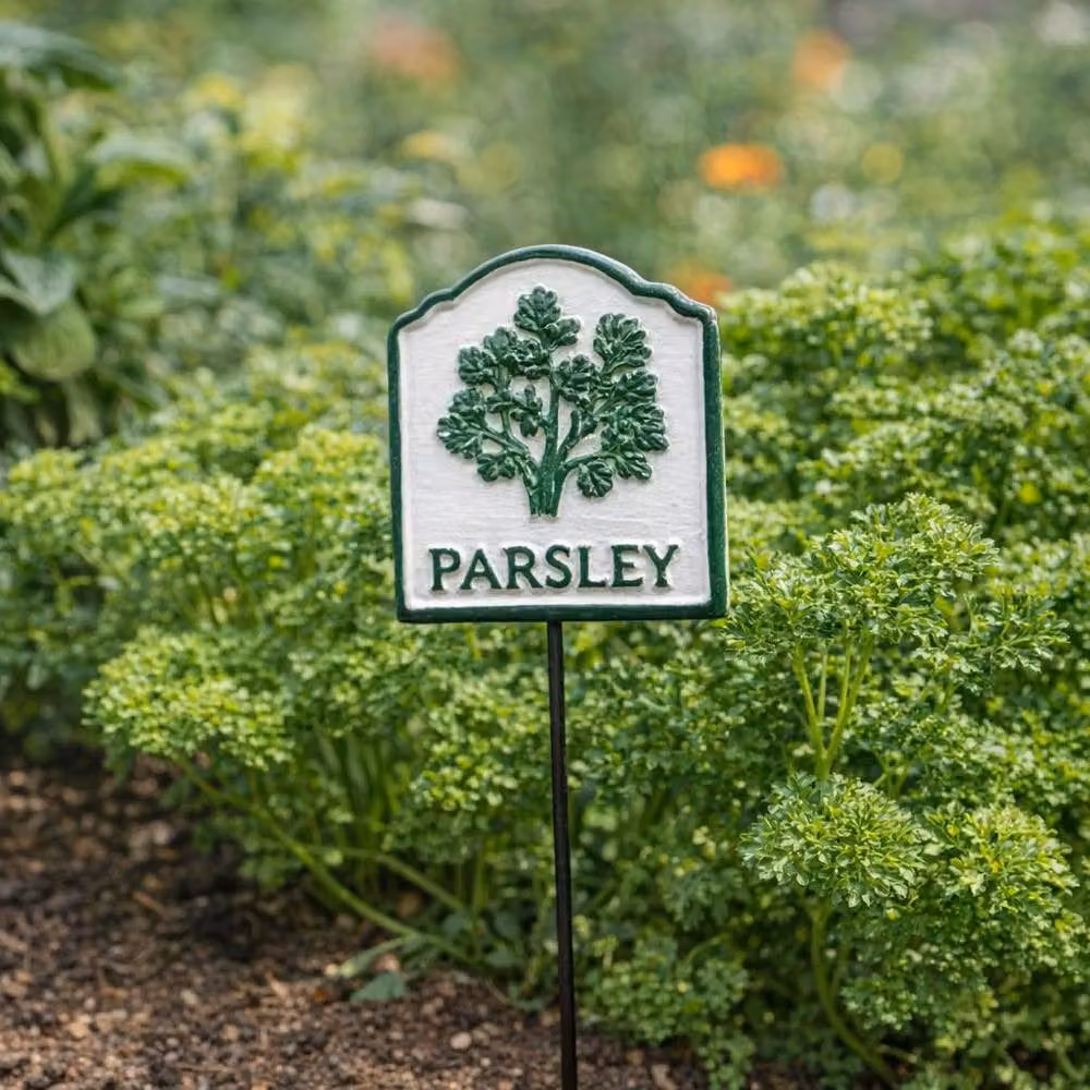 Lumbo Metal Parsley Herb Marker Garden Stake in Green and White – 3