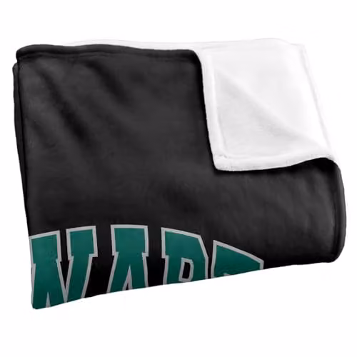 Warner Bros. Harry Potter Hogwarts Slytherin Super Soft Fleece Throw Blanket, Multicolour – 2