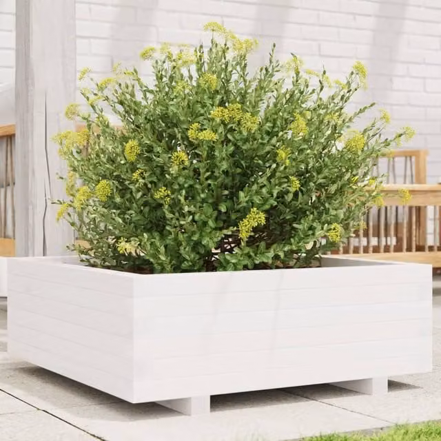 Berkfield Home White Solid Wood Pine Garden Planter Tub W: 70 cm, D: 70 cm, H: 26.5 cm
