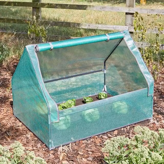 Smart Garden GroZone GroCloche Growing Aid in Green
