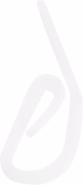 Hiatt White Plastic Curtain Hook