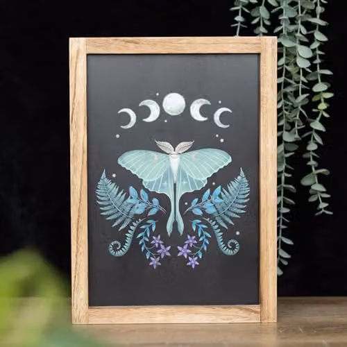 Something Different Wholesale Luna Moth Wooden Framed Wall Art in Multicolour – 3