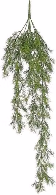 KDMD Green Leaf Trailing Hanging Plant, Height: 94 cm