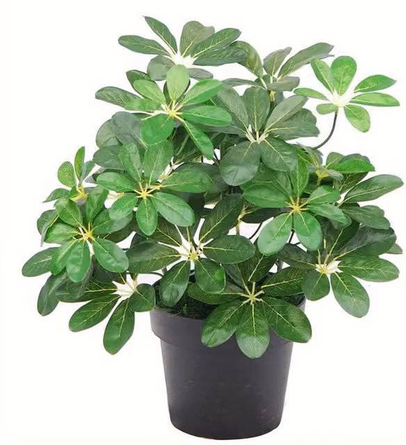 Green Artificial Potted Leaf Plant for Tabletop Display, Height: 30 cm