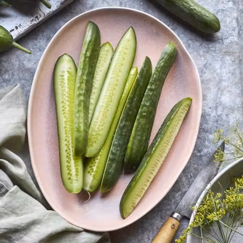 Thompson & Morgan Cucumber Merlin F1 Vegetable Seeds – 3
