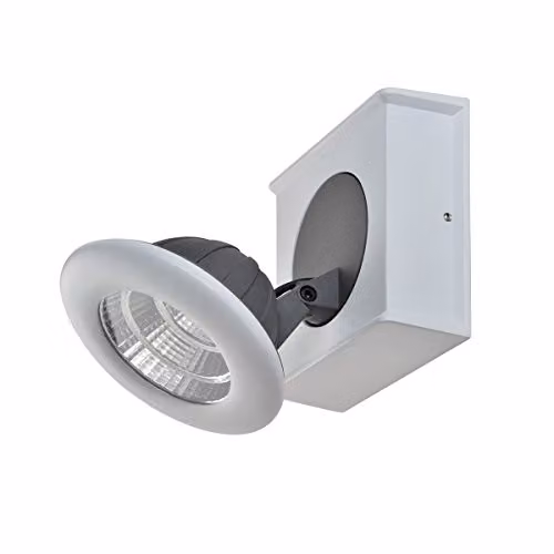 Netlighting Catalina Modern Single LED Wall Spotlight in White and Silver with Warm White 3000K Light