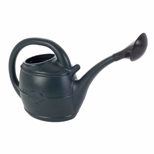 Ward 5L Plastic Watering Can with Rose in Green – 2