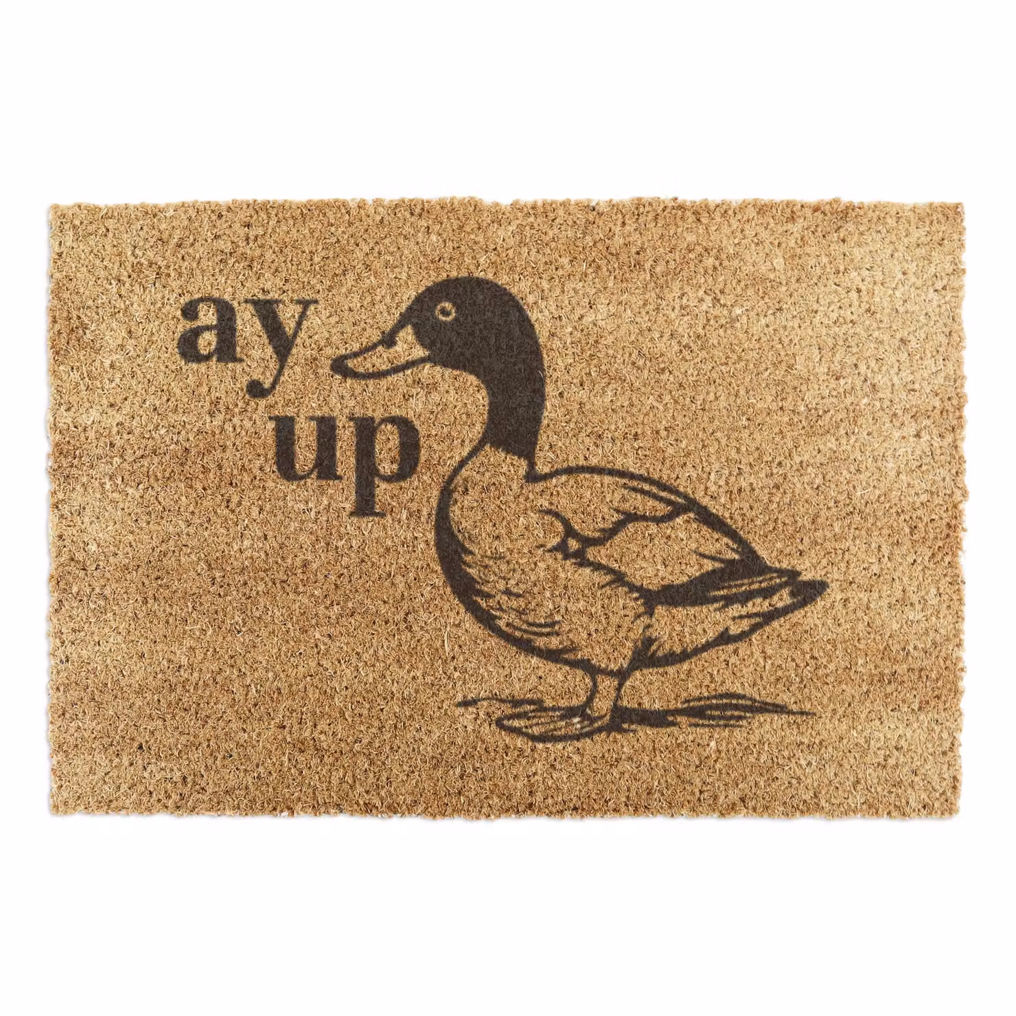 Artsy Mats Ay Up Duck Coir Doormat in Brown, W/D: 90 x 60 cm – 2