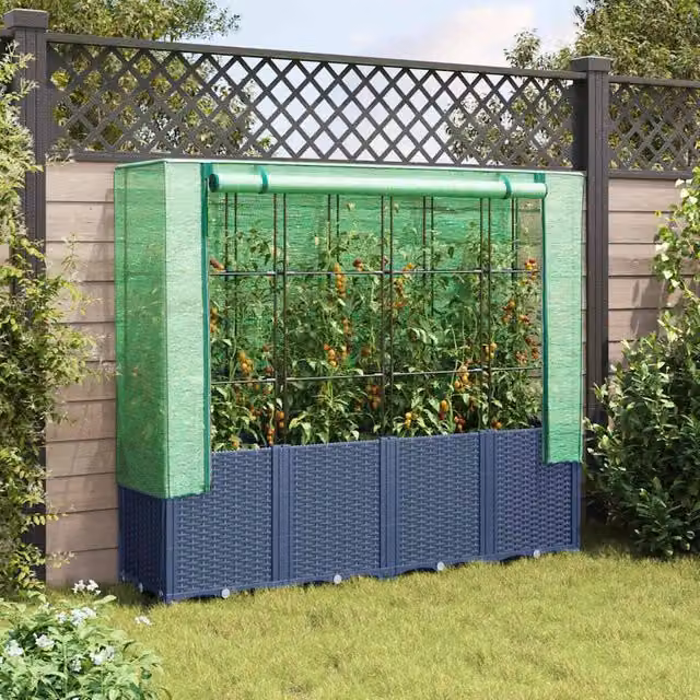 Berkfield Home Raised Bed with Greenhouse Cover in Blue Rattan Look, W/D/H: 160 x 40 x 153 cm