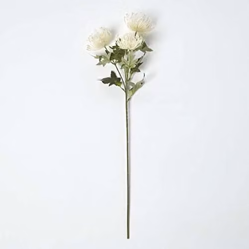 HOMESCAPES Artificial Single Stem Protea Flower Spray in Beige and White, Height: 65 cm