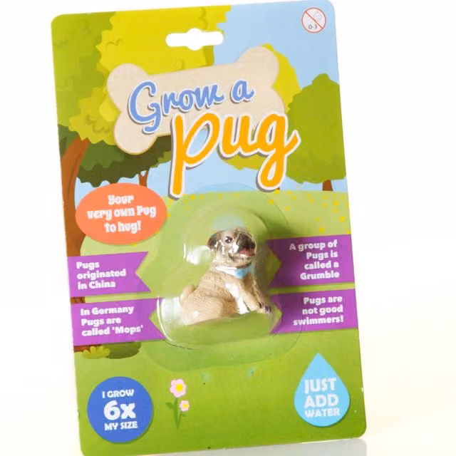 Boxer Gifts Grow A Pug in Brown