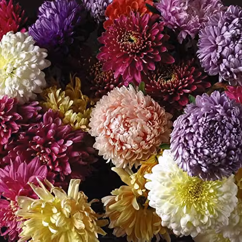 Thompson and Morgan Duchess Mixed China Aster Seeds, Multicolour Ornamental Garden Flower Seeds, Approx. 250 Seeds