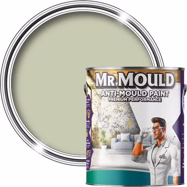 MR MOULD Anti-Mould Paint, Sage Green, 1L – 1
