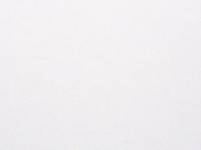 Guardian White Gloss Internal Wall Panels, Pack of 4, W: 25.0 cm, H: 400.0 cm, D: 0.75 cm