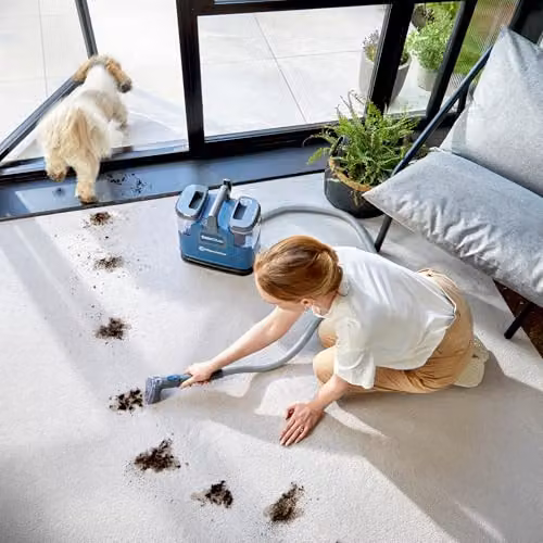 Vacmaster EasyClean Up Compact Carpet Spot Cleaner, Blue, Corded – 3
