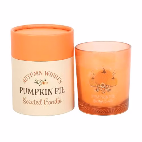 Garden Greatness Autumn Wishes Pumpkin Pie Scented Votive Candle in Orange – 2