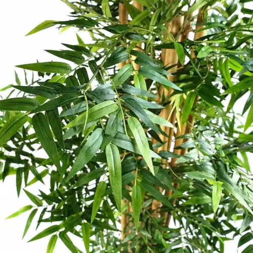 Botanik 150 cm Green Oriental Artificial Bamboo Tree – 2