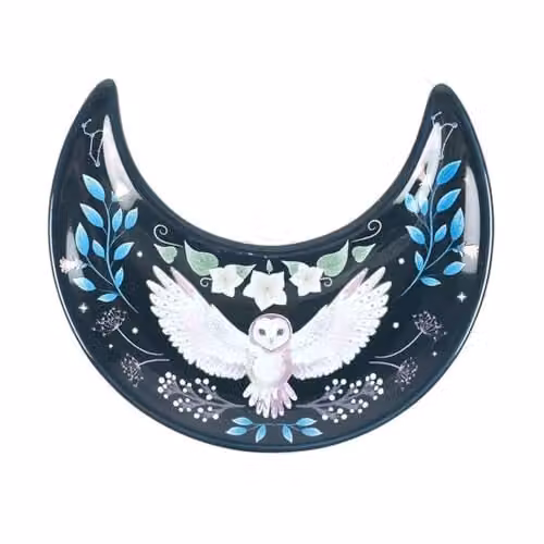 Something Different Crescent Moon Owl Ceramic Trinket Dish in Blue and White