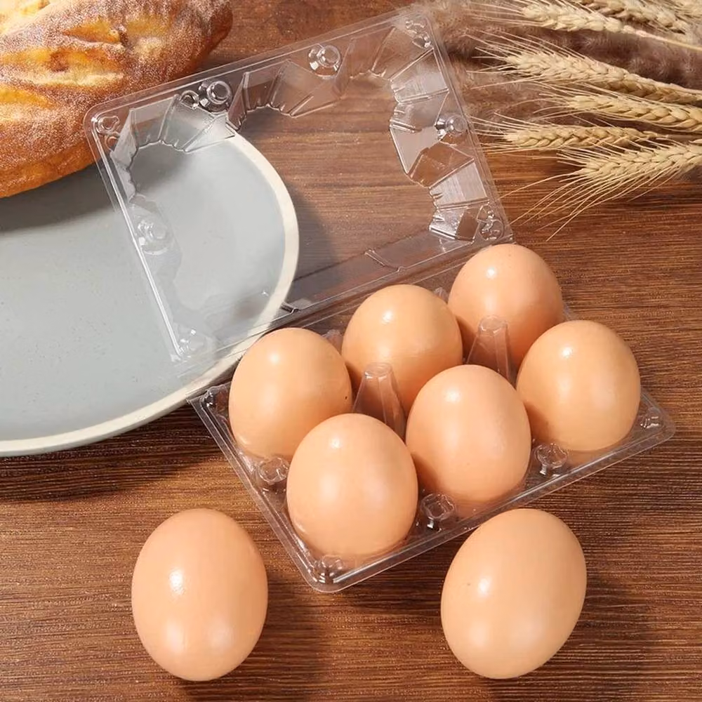 NESTLUNE Plastic Egg Box Cartons with Snap Lid, Clear, W: 100 cm, D: 15 cm – 2