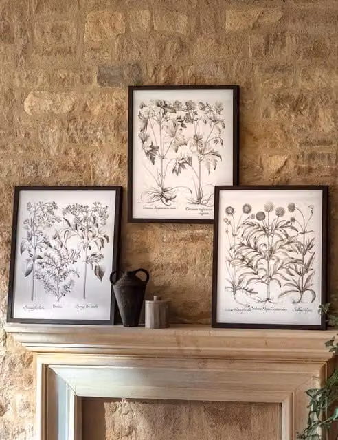 Gallery Direct Set of 3 Evergreen Botanical Floral Framed Art Prints in Black