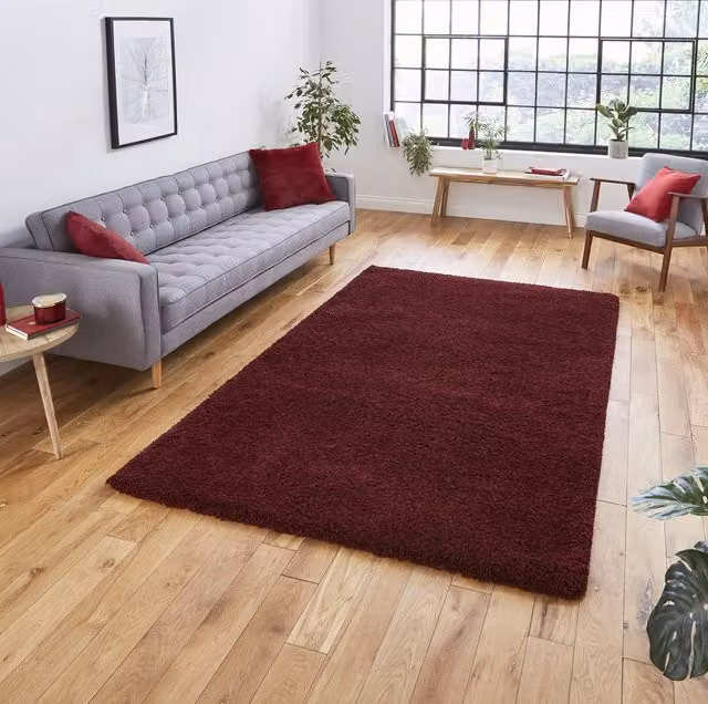 Terrys Sierra 9000 Plain Shaggy Rug in Red