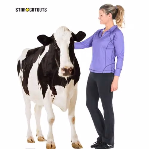 Star Cutouts SC163 Cow Cardboard Cutout, Multicolour, Height: 152 cm – 2