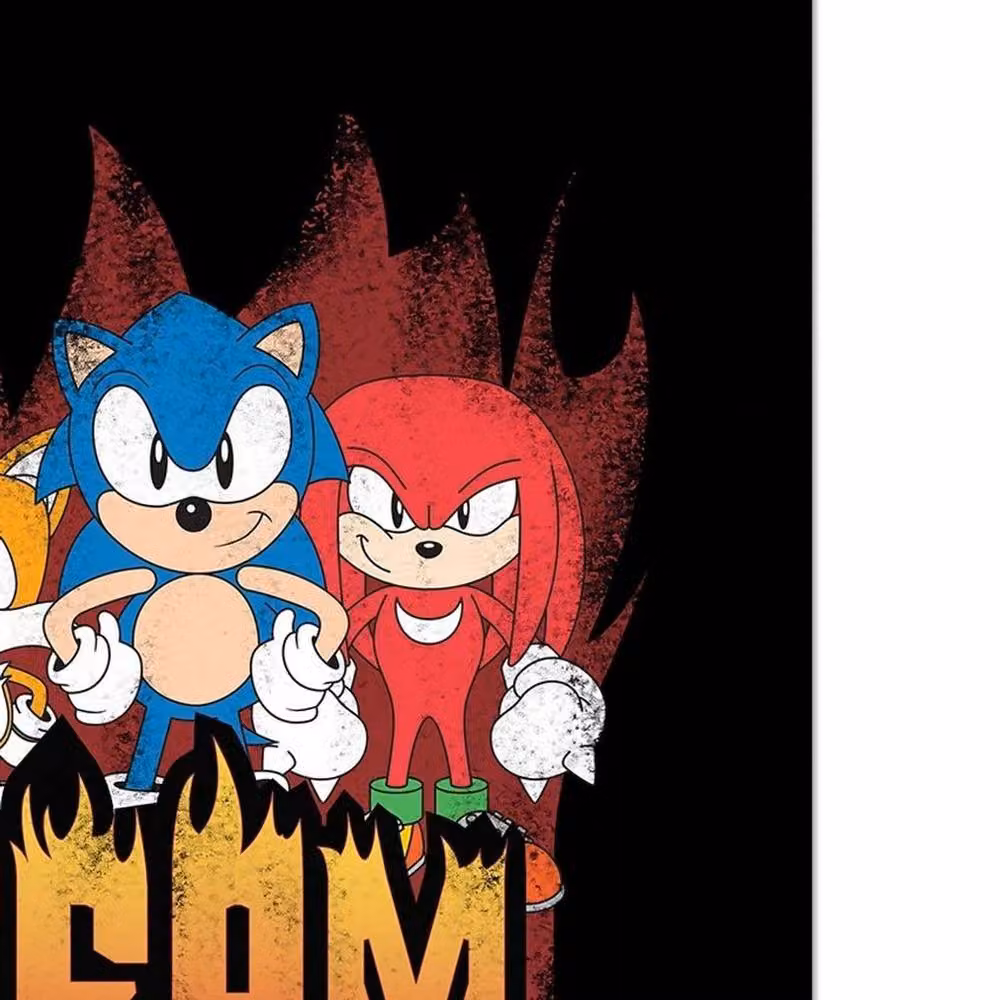 Sonic the Hedgehog Team Sonic Multicolour Framed Paper Poster – 2