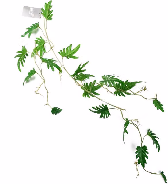 Artificial Hanging Trailing Philodendron Small Leaf Plant in Green