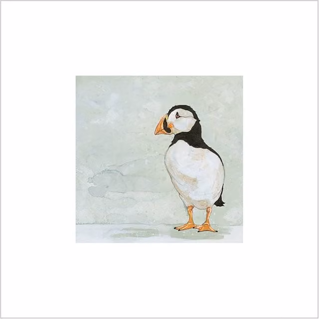 Bev Davies Gazing Puffin Multicolour Paper Print