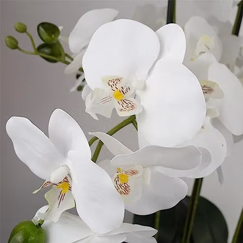 Leaf Design UK 50cm Artificial White and Green Orchid in a Glass Planter – 2