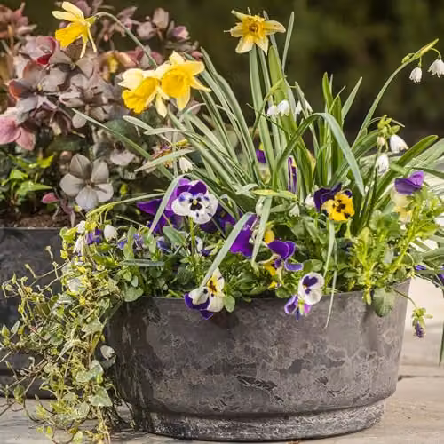 Garden Gear Caesar Marble Effect Charcoal Bowl Planter, Grey and Brown, Diameter: 46 cm – 3