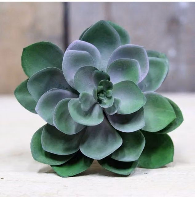 KDMD Green Succulent Pick, 3 Pack, 11 cm
