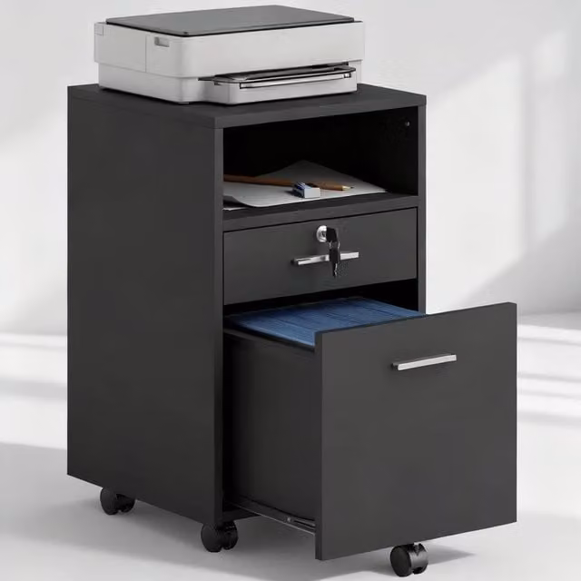 ERGOVEXA Lockable Two-Drawer Filing Cabinet with Castors, Black, W: 40.0 cm, D: 39.0 cm, H: 65.0 cm