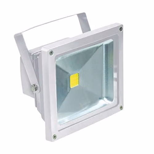 Eagle Electrovision 30W LED Floodlight, White