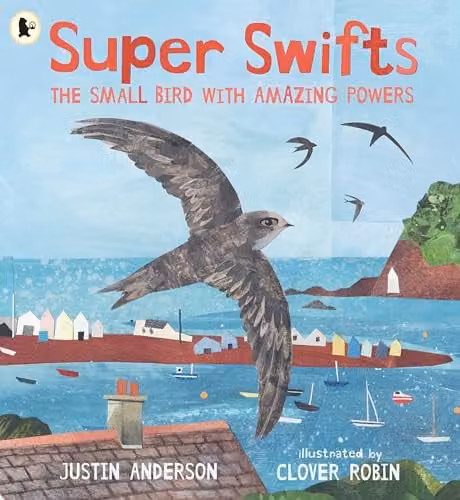 Super Swifts: The Small Bird With Amazing Powers Nature Storybook by Walker Books, Multicolour Paper Edition