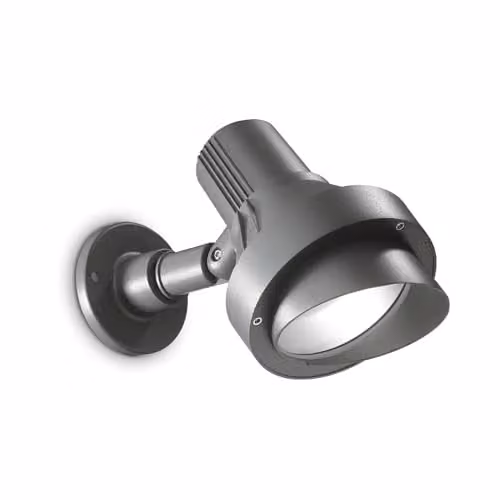 Netlighting Terra Adjustable Outdoor Wall Light in Anthracite with IP65 Protection and E27 Socket