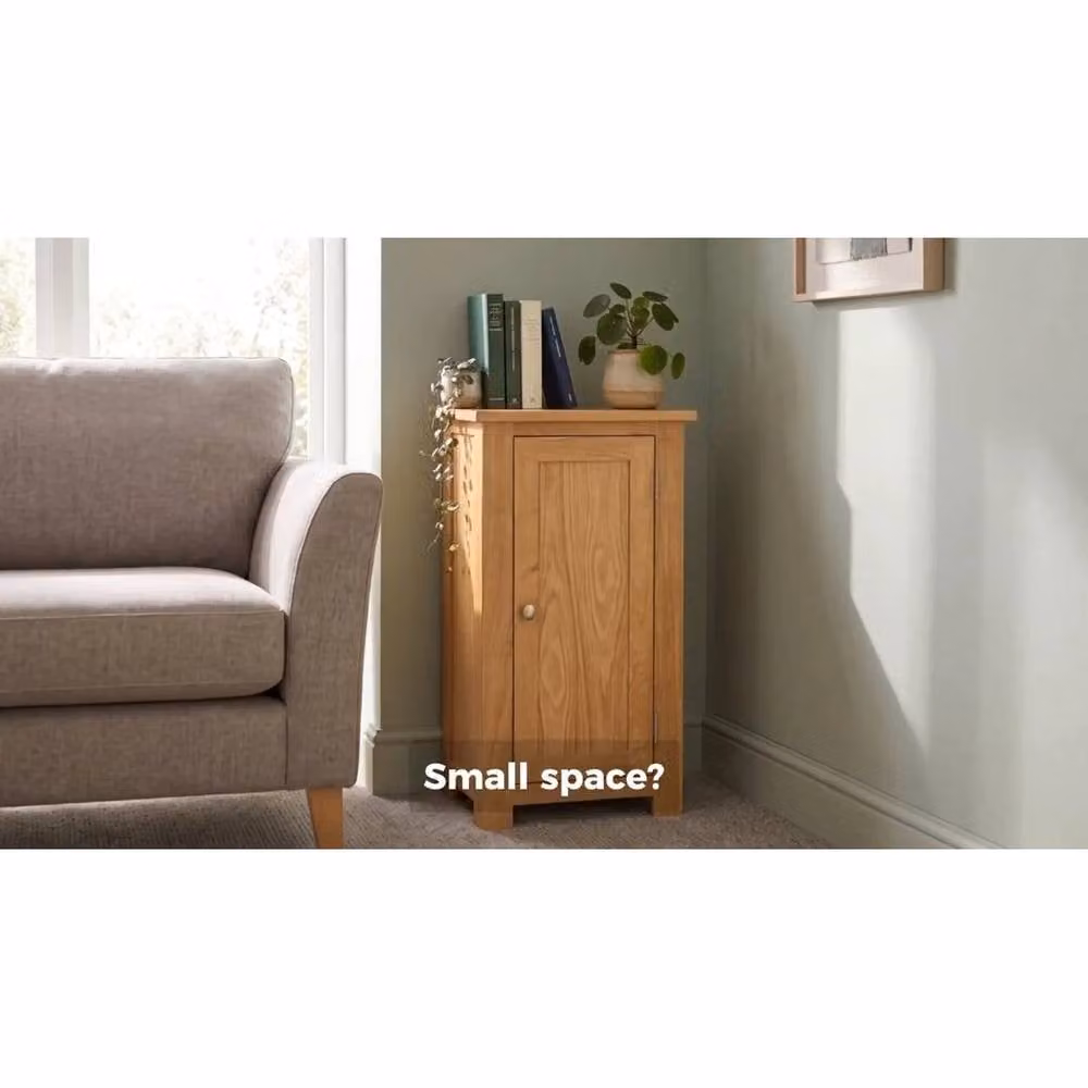 FORGEVIO Small Wooden Oak Storage Cupboard and Shoe Organiser in Light Brown – 2