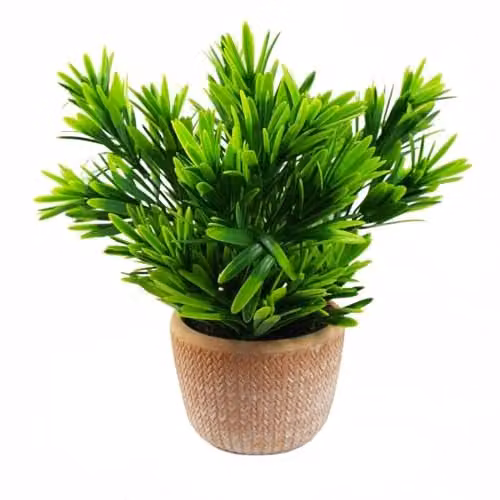 Leaf Potted Artificial Honey Plant in a Green Ceramic Pot, H 22 cm x W 15 cm x D 15 cm