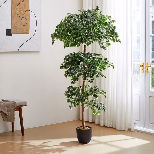 Lifeideas Decorative Artificial Tabletop Zamioculcas Tree with Pot in Green, White or Black