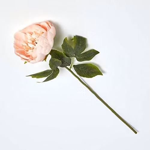 HOMESCAPES Pink and Green Artificial Peony Single Stem Textile Flower, Height: 56 cm – 1