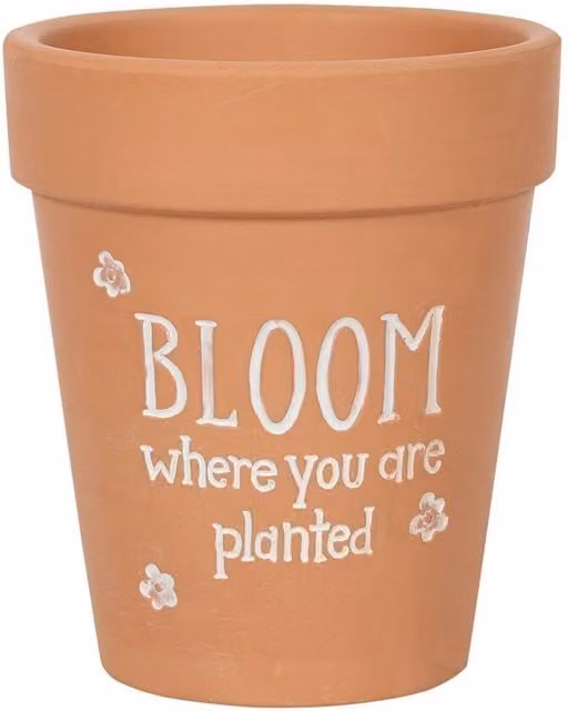Something Different Bloom Where You Are Planted Terracotta Planter Pot in Brown and White