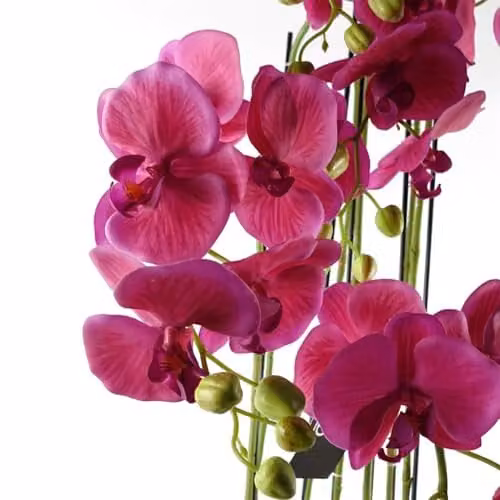 Botanik Pink Realistic Artificial Potted Orchid Plant, H 110 cm x W 40 cm x D 40 cm – 3