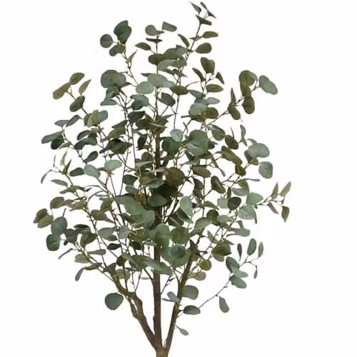 Leaf Design Eucalyptus Trees by LeafUK, Green, H 180 x W 60 x D 60 cm – 2