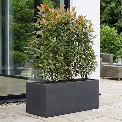IDEALIST Large Slate Reinforced Stone Trough Planter, Anthracite Grey, 54L