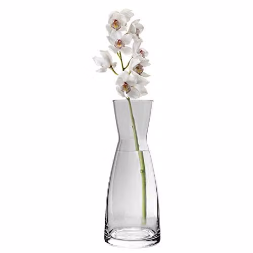 Bormioli Rocco Ypsilon Glass Carafe, 285ml, Transparent – 1
