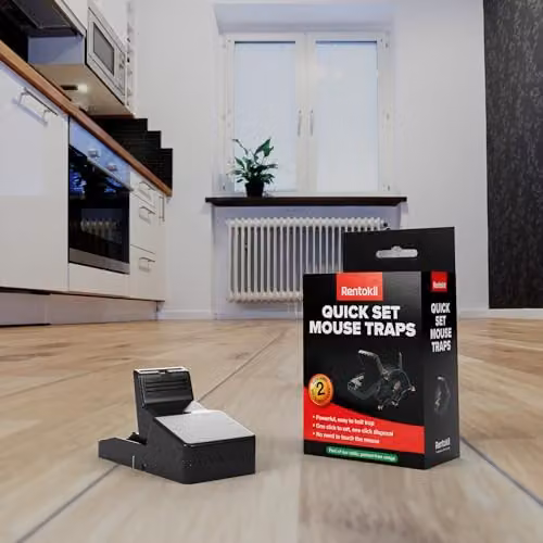 Rentokil FQ26 Quick Set Mouse Trap, Set of 2, Black and Multicolour – 2