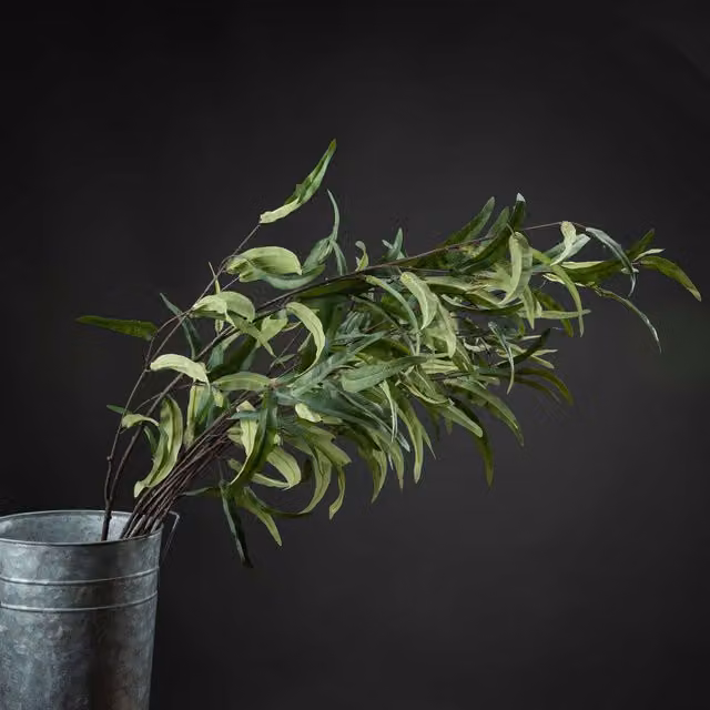 Love Lace Green Eucalyptus Nicholii Artificial Flower Spray – 1