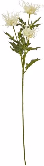 Hill Interiors Sea Holly Artificial Flower Spray in Beige and White – 1