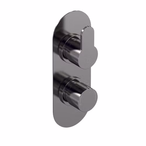 nuie Arvan Modern Round Concealed Twin Thermostatic Shower Valve, One Outlet, Brushed Pewter