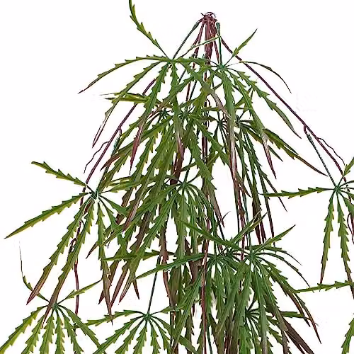 Leaf Pack of 12 Green Artificial Hanging Acer Spider Plants – 3